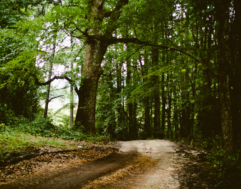 攻击网站在线工具